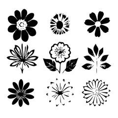 flower, flower silhouette, flower outline, herb svg, herb png,floral, pattern, vector, set, nature, flowers, design, illustration, art, seamless, spring, summer, decoration, plant, ornament, collectio