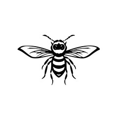 bug svg, beetle svg, svg bundle, insects svg, svg bugs, bug clipart, svg	bugs bundle svg, line art svg, Bugs Silhouette, insects clipart, outline bugs, Insect, insect, ant, bug, beetle, spider, vector