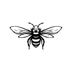 bug svg, beetle svg, svg bundle, insects svg, svg bugs, bug clipart, svg	bugs bundle svg, line art svg, Bugs Silhouette, insects clipart, outline bugs, Insect, insect, ant, bug, beetle, spider, vector