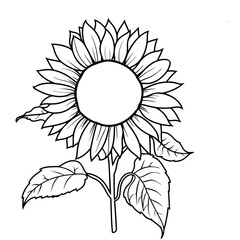 Sunflower line illustration for your design. 