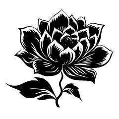 flower, flower silhouette, flower outline, herb svg, herb png,floral, pattern, vector, set, nature, flowers, design, illustration, art, seamless, spring, summer, decoration, plant, ornament, collectio