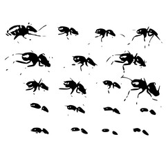bug svg, beetle svg, svg bundle, insects svg, svg bugs, bug clipart, svg	bugs bundle svg, line art svg, Bugs Silhouette, insects clipart, outline bugs, Insect, insect, ant, bug, beetle, spider, vector