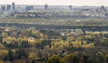 Poznan cityscape. View of distant city among green fields and forest.