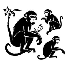 Fototapeta premium Monkey SVG, Monkey Cricut, Gorilla Svg, Monkey Clip Art, Monkey Png, Monkey Clipart, Gorilla Svg Bundle, Monkey Cut File, Monkey Silhouette, Safari Animals, Woodland Silhouette, African Animals, Line 