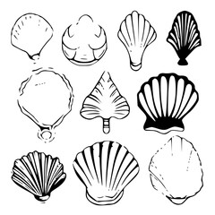 Seashells svg, Seashell svg file, Ocean svg, Marine, Clipart, Seashell SVG, SeaShell Outline SVG, Beach SVG, Summer, Seashells Svg, Flower seashell Svg, Underwater the sea Svg, Ocean Svg, SeaShell cli