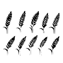 Wheat SVG designs, Wheat logo, Wheat vector, Wheat Field png, Wheat bundle, Wheat Clipart, Grain Svg, WHEAT SVG Bundle, Grain Svg, Wheat Clipart, Wheat Cut Files For Cricut, Wheat Vector, Wheat Silhou