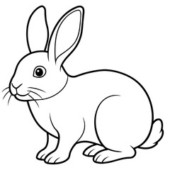 rabbit colouring page white background -Vector illustration