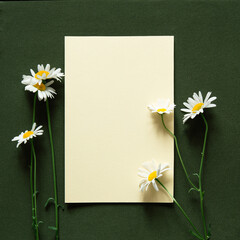 Sheet blank paper with a white daisy flowers on green background. Copy space, flat lay, top view, mockup