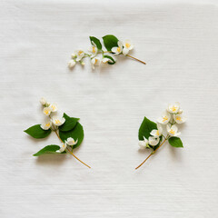 Jasmine flowers on light linen background. Birthday, Mother's Day. Copy space. Creative spring greeting card	