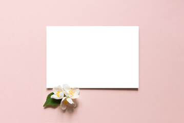 jasmine flowers on a delicate pink background. Template for congratulations or invitations. Happy Mother's Day, Women's Day. Empty card mockup	