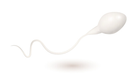 Sperm icon isolated on white. Vector illustratiotion - obrazy, fototapety, plakaty