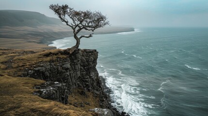 A lonely tree standing defiantly on a windswept cliff overlooking the ocean