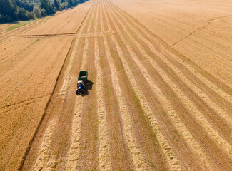 Agricultural field with tractor in field