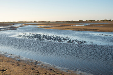 Marshes of a tidal marsh on the Spanish Atlantic coast, home to numerous species of birds. Huelva, Spain.