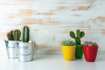 Various cactus plants in different pots on wooden background.