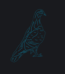dove bird design, line art illustration.