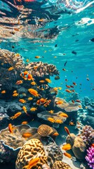 A vibrant coral reef teeming with colorful fish, visible from above through the crystal-clear turquoise water