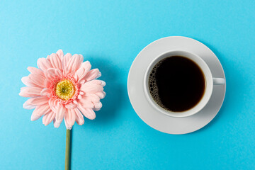 Creative composition of daisy flower and cup of coffee on blue background. Minimal spring concept.