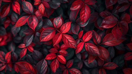 Leaves full frame background dark vibrant colors