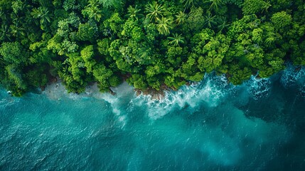 Drone perspective of a coastal rainforest meeting the ocean, showcasing the rich biodiversity of coastal ecosystems. - obrazy, fototapety, plakaty