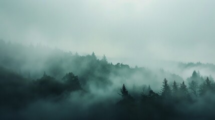 Foggy landscape, soft gradients, sense of mystery and tranquility - obrazy, fototapety, plakaty