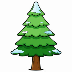 cedar tree isolated on white