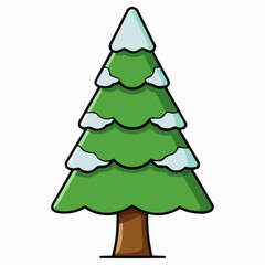 cedar tree isolated on white