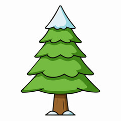 cedar tree isolated on white