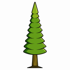 cedar tree isolated on white