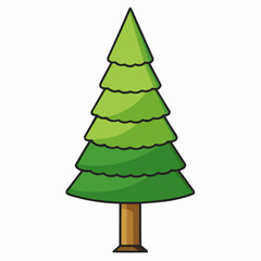 cedar tree isolated on white