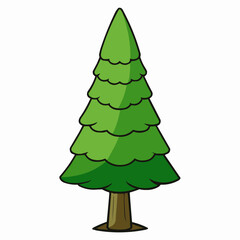 cedar tree isolated on white