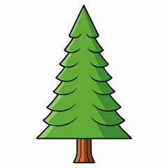 cedar tree isolated on white