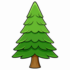 cedar tree isolated on white