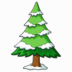 cedar tree isolated on white