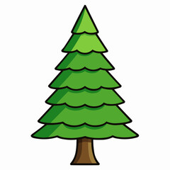 cedar tree isolated on white