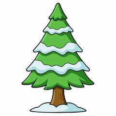 cedar tree isolated on white