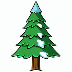 cedar tree isolated on white