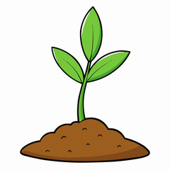 plant in the soil