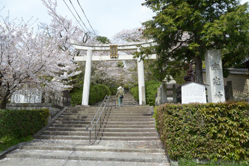 春の宗忠神社　境内入口の鳥居　京都市左京区吉田