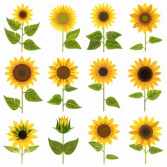 Sunflowers Flower Icon Set, Garden Sun Flowers Flat Design, Abstract Sunflowers Symbol, Simple Flowers