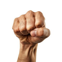 Clenched Fist Rising in Solidarity - obrazy, fototapety, plakaty