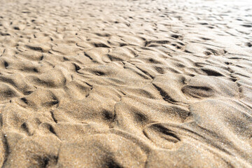 Sand Texture Background, Sandy Beach Pattern, Beige Ocean Dune Wallpaper, Wet Beach