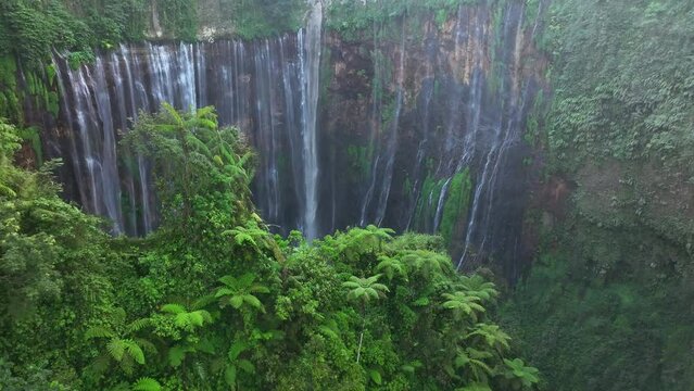 Aerial view fly through trees to Tumpak Sewu waterfall, East Java, Indonesia