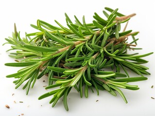 rosemary leaf herbal is spices Isolated on the white background