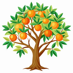 orange tree with fruits