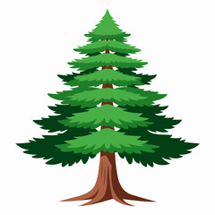illustration of a pine