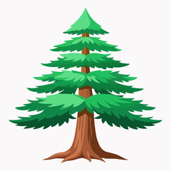 illustration of a pine