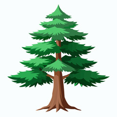illustration of a pine