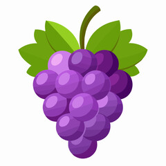 grapes isolated on white