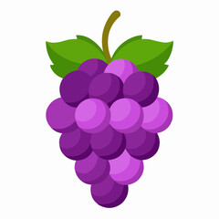 grapes isolated on white